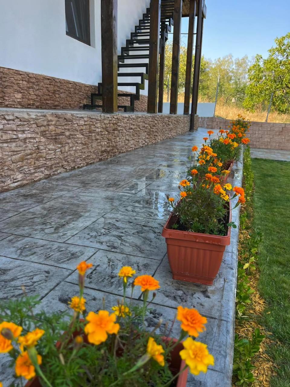 Villa Medi Boutique Sapareva Banya Bagian luar foto